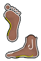 Foot Type